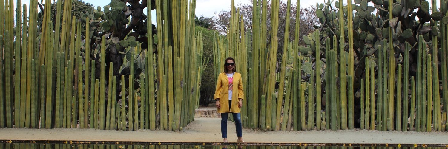 Laura Cervera banner