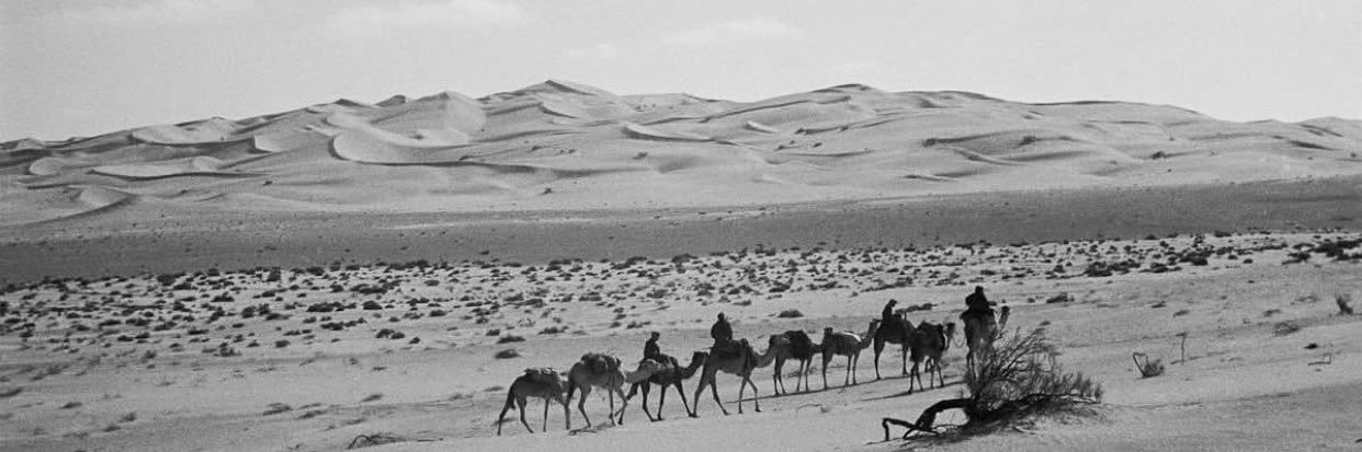 saud_abse's profile banner image