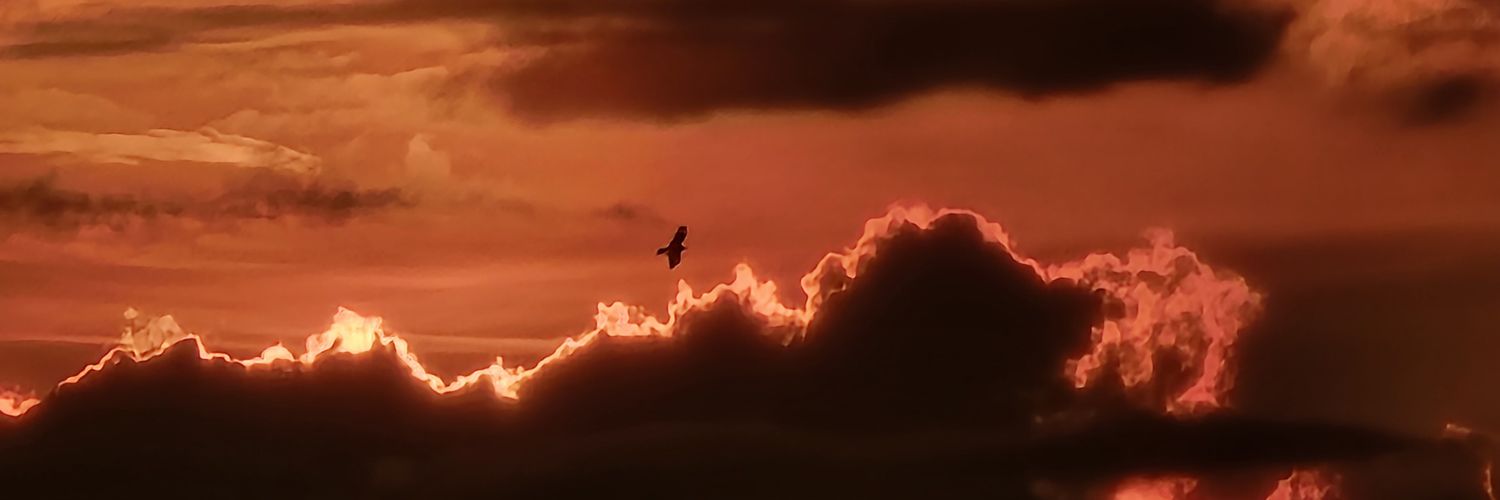 rahulpalake's profile banner image
