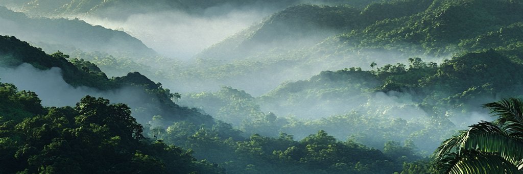 bas_ornstein's profile banner image