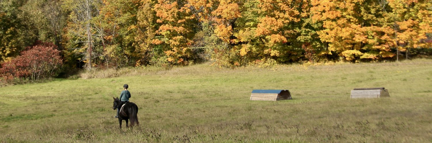 delphykat.nft 🇨🇦 banner