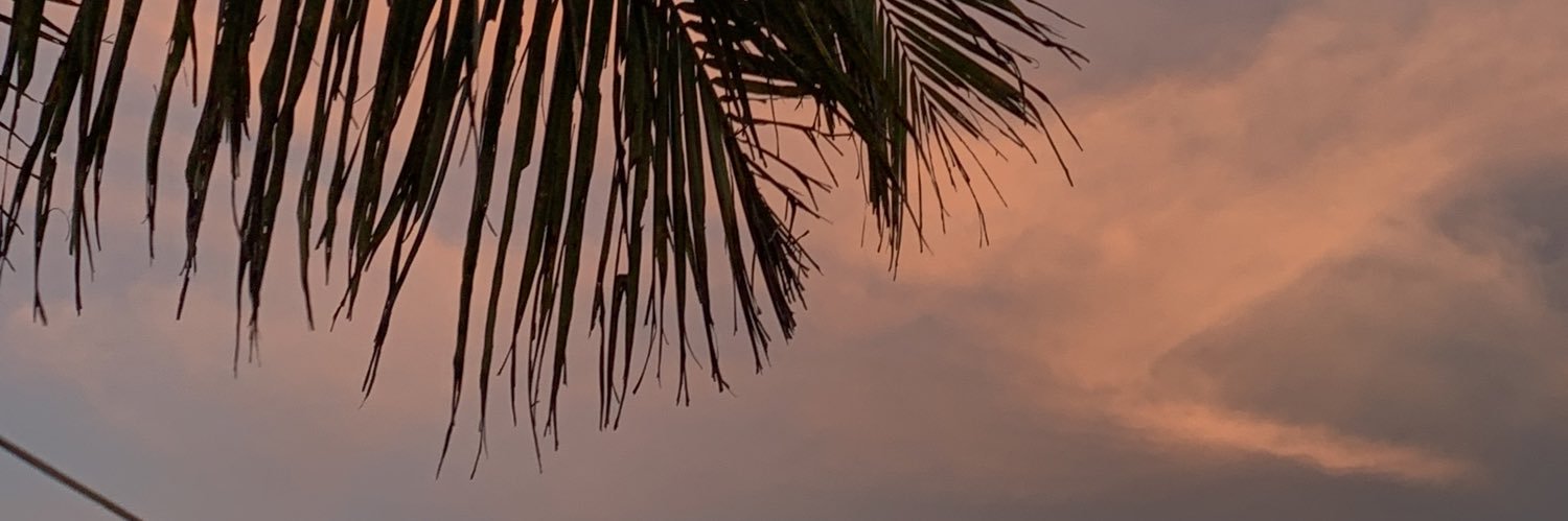lelypratiwi486's profile banner image