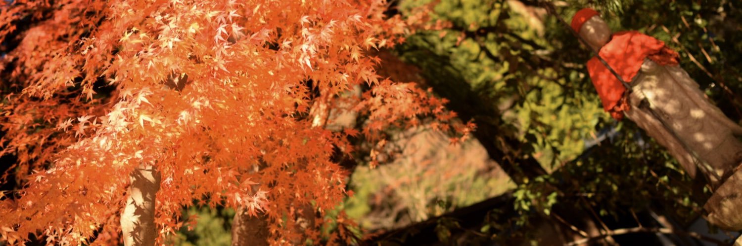 fuf2_5's profile banner image