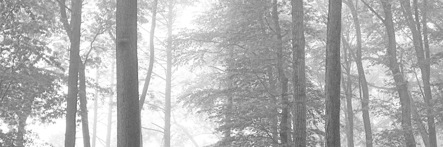 gemmacoldwell's profile banner image