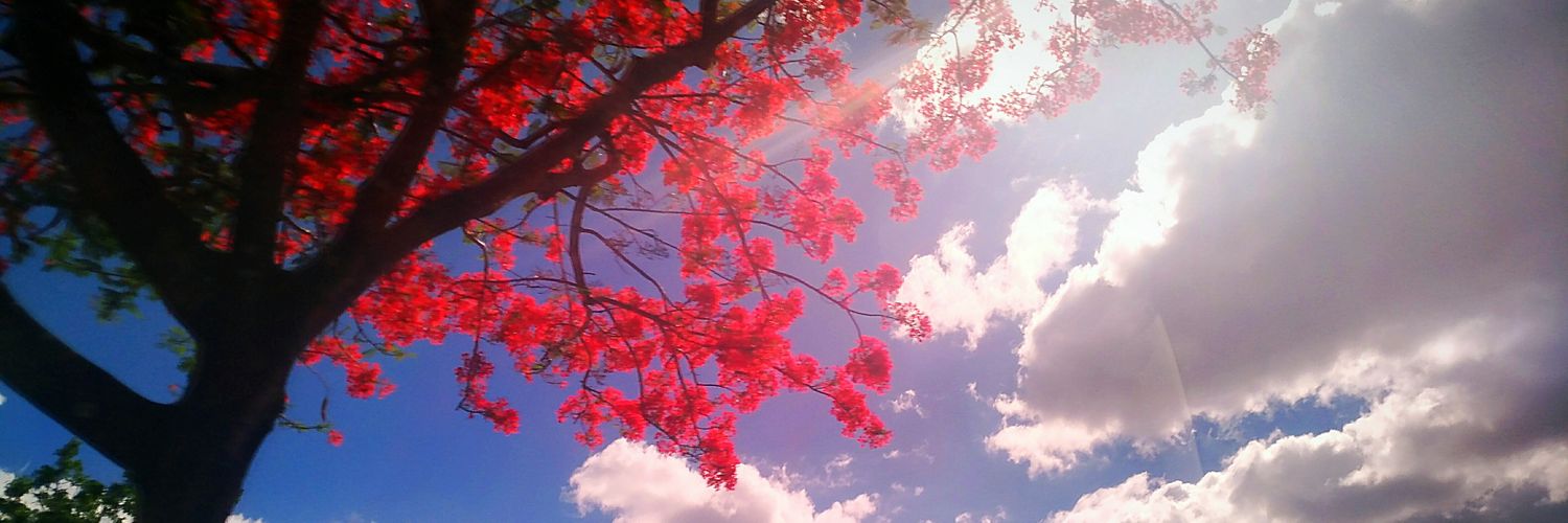 justrain_143's profile banner image