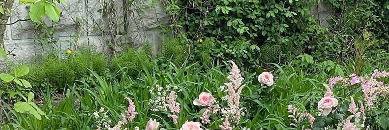 ALUNA TRISHA. banner