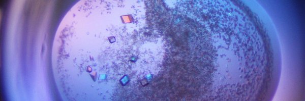 acmarshallphd Profile Banner