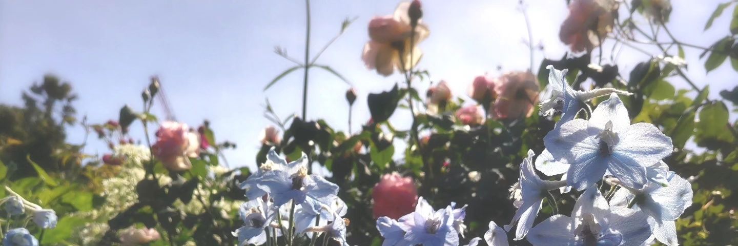 eiramine's profile banner image