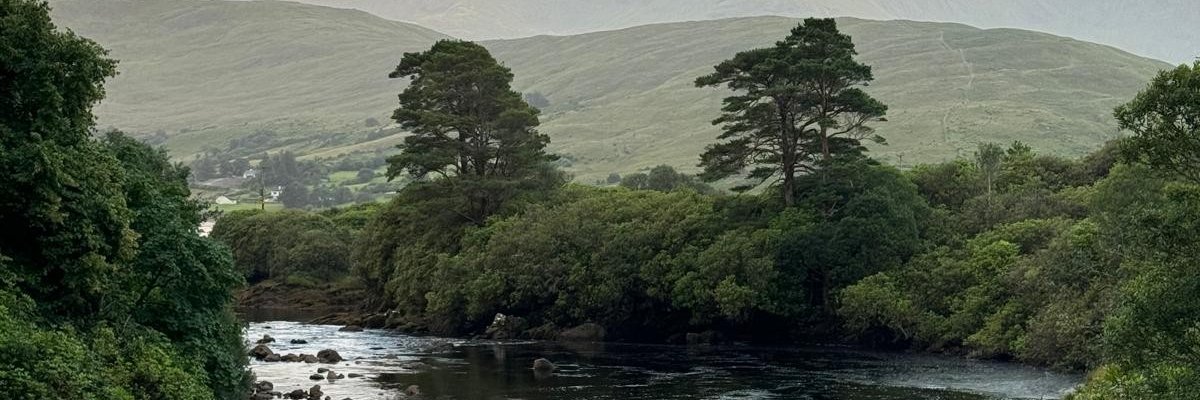 EndaHunston's profile banner image