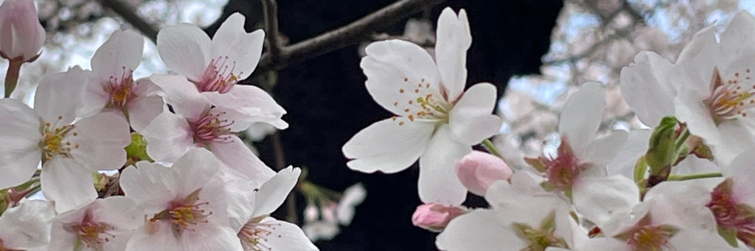nayokoka's profile banner image