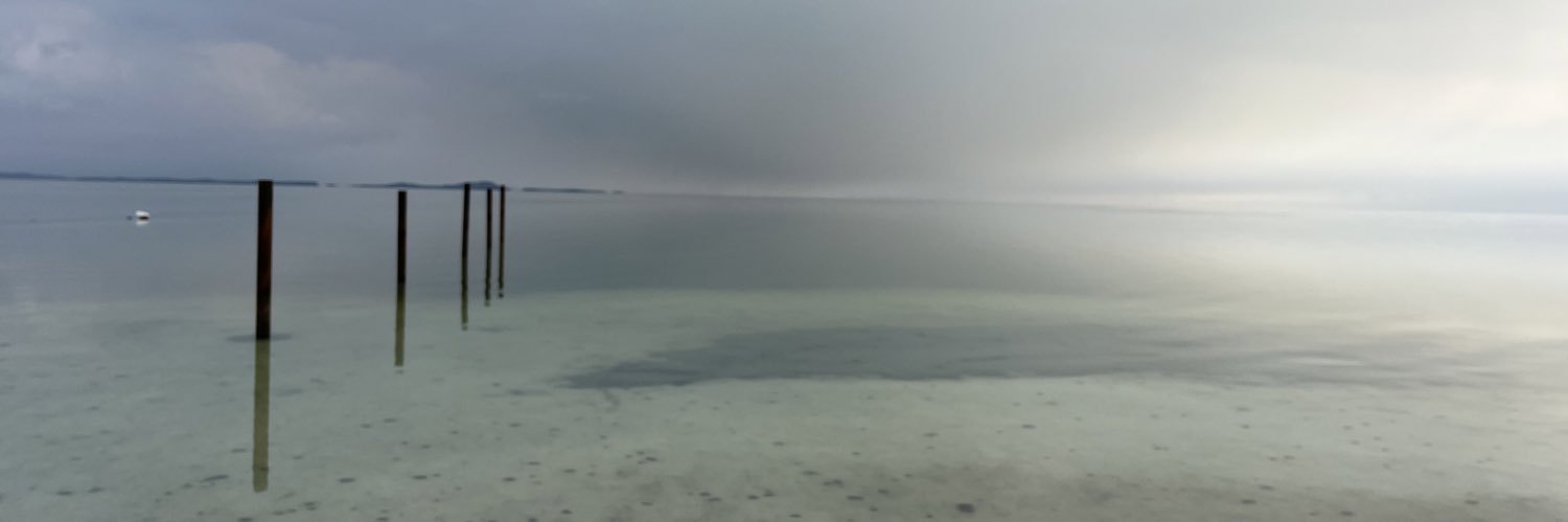 Saeidehh49's profile banner image