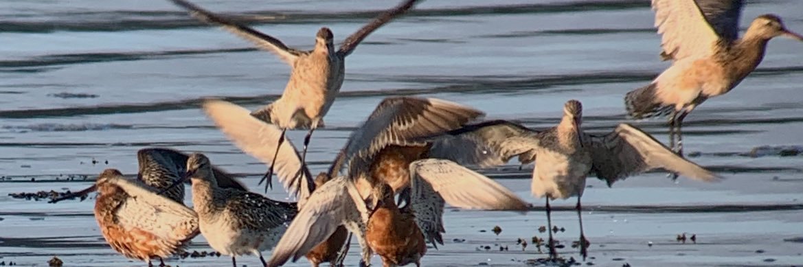 Justin Zantboer banner