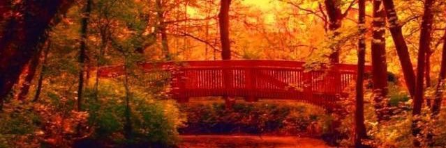 Tee9254's profile banner image