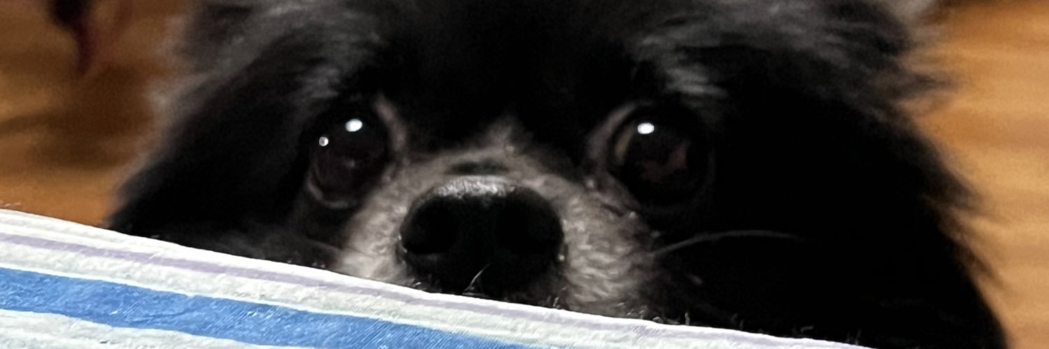 k banner