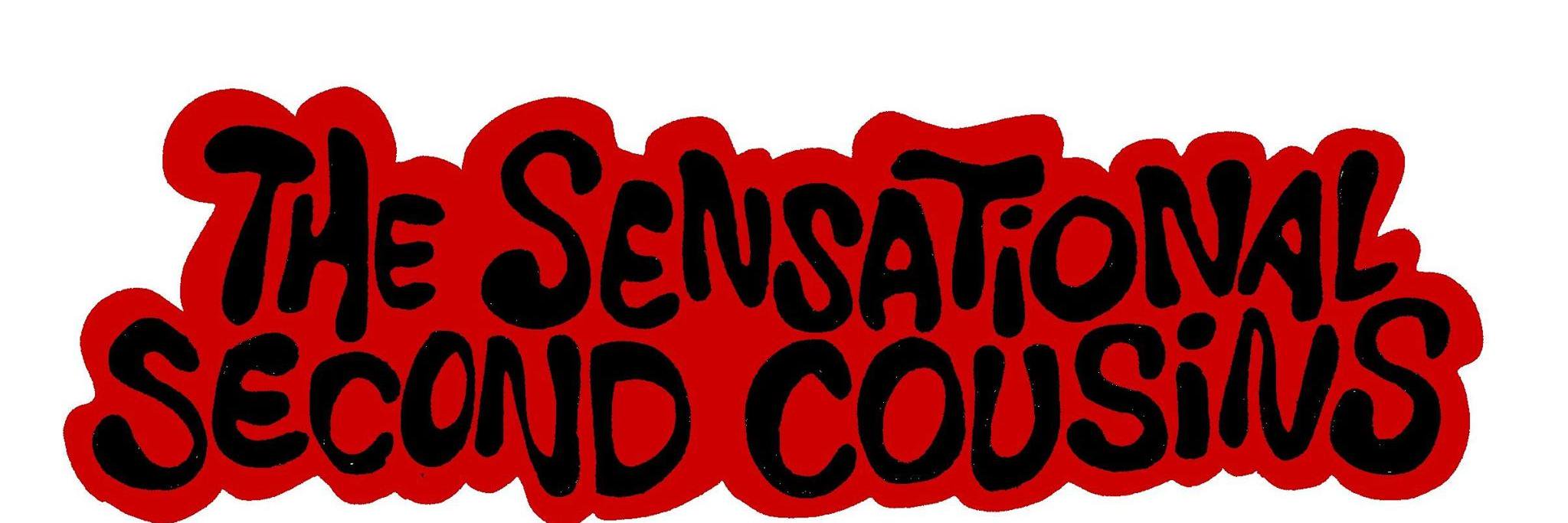 Sens. 2nd Cousins banner