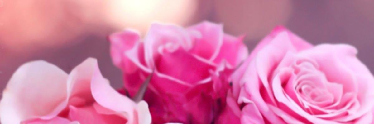 winddaeng's profile banner image