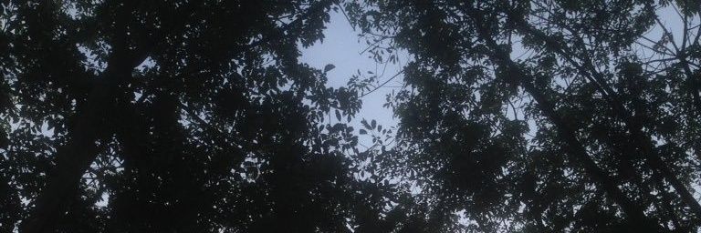 Om_lKecil's profile banner image
