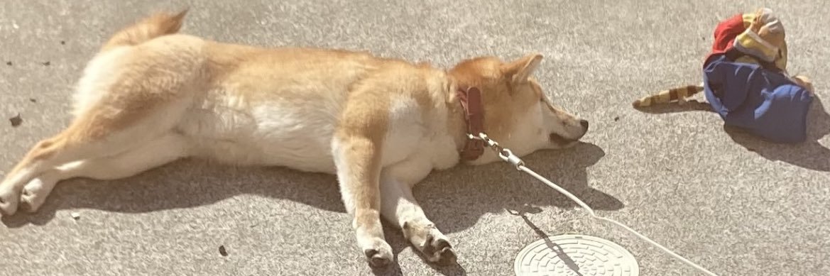 かずぼう♪ banner