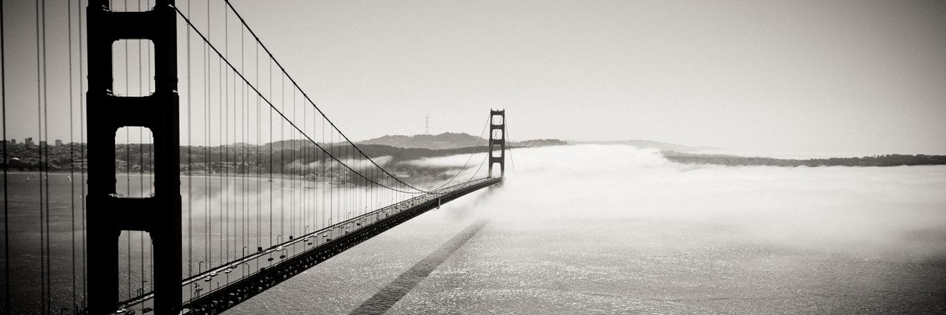 michael foley banner