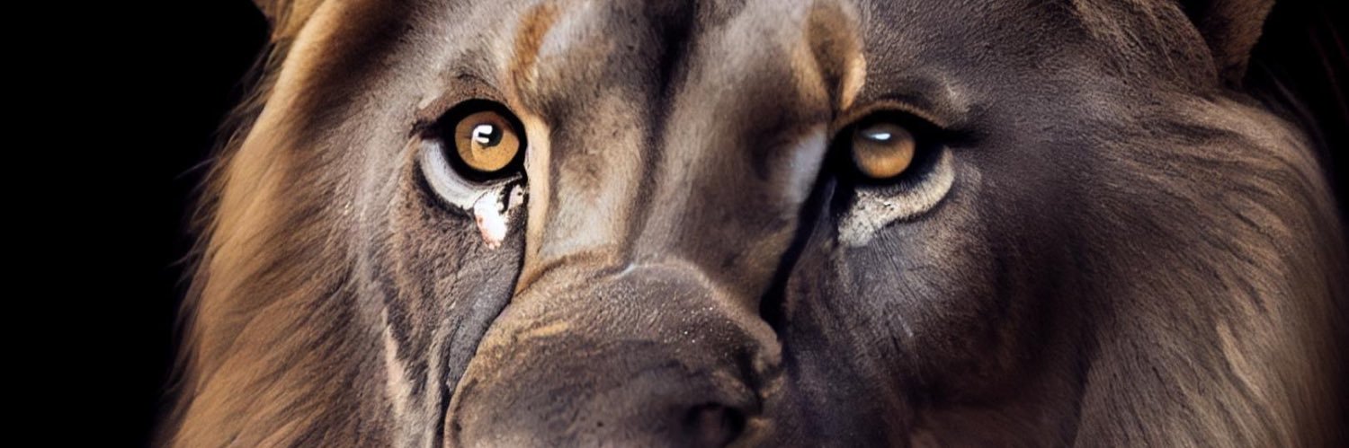 kralll33's profile banner image