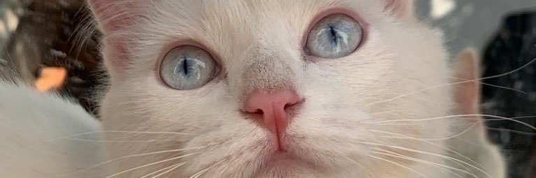 MonseGlez3's profile banner image