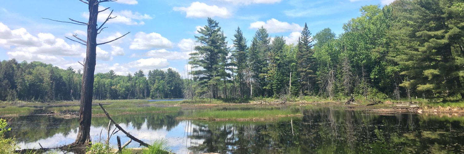 Alexander Benz banner