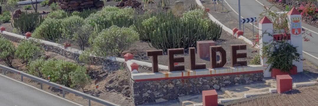 Héctor J. Suárez Morales banner