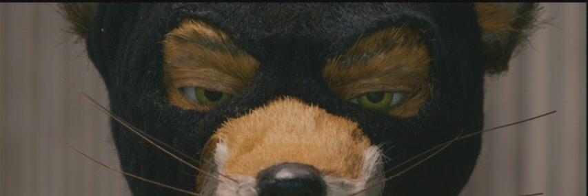 Roy meets 🌎 banner