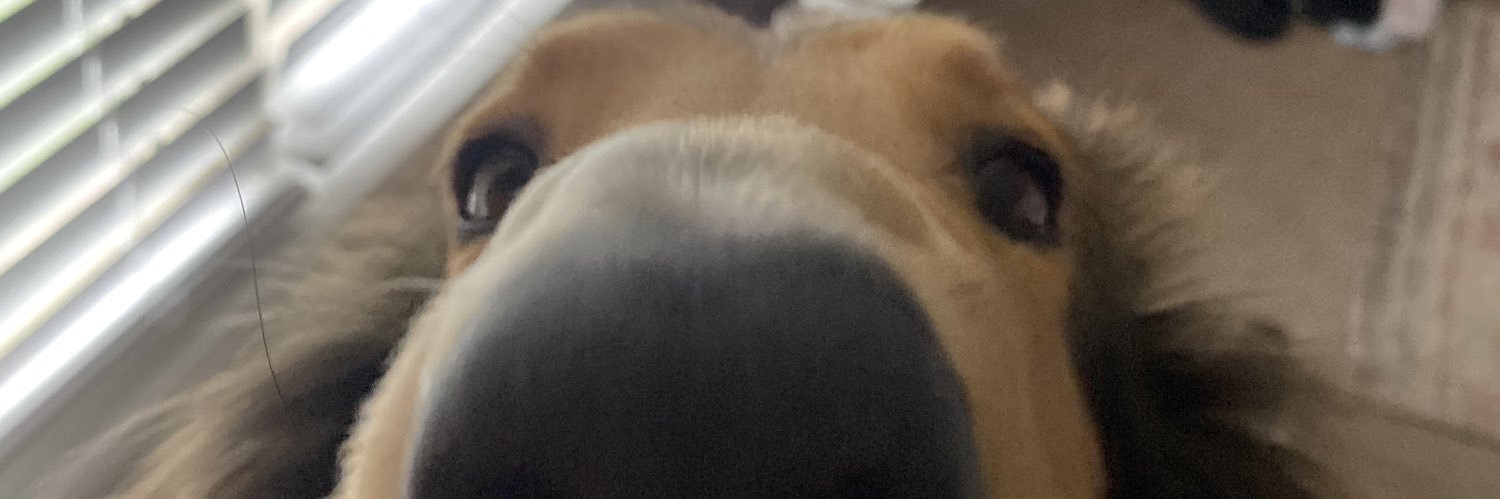 Dear_druhh's profile banner image