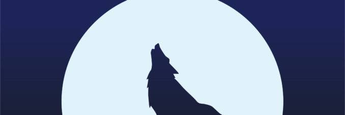 russell_jerome's profile banner image