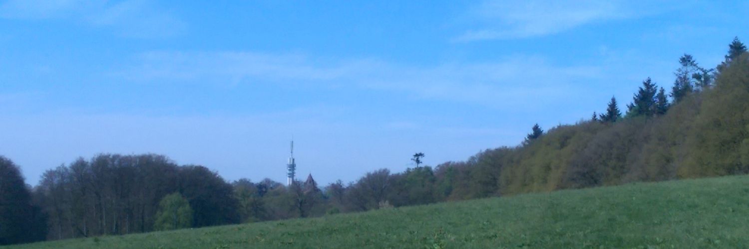 Paultje banner