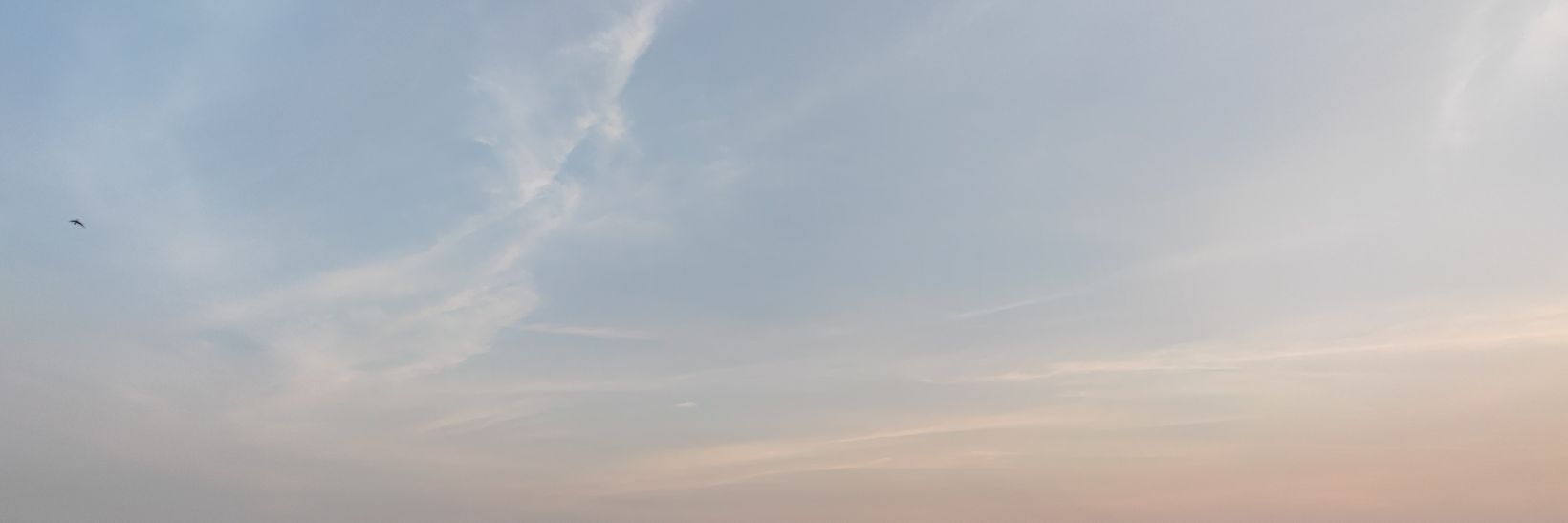 iamearni's profile banner image