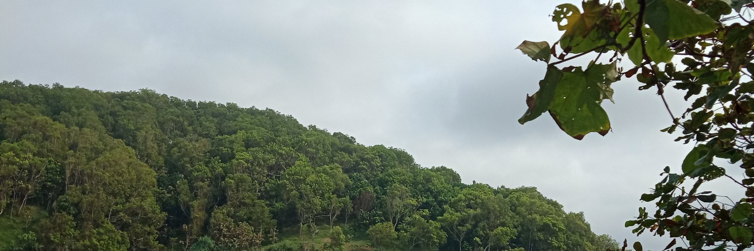 ayyak13's profile banner image