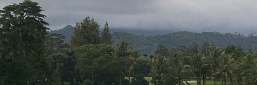 violitalbn's profile banner image