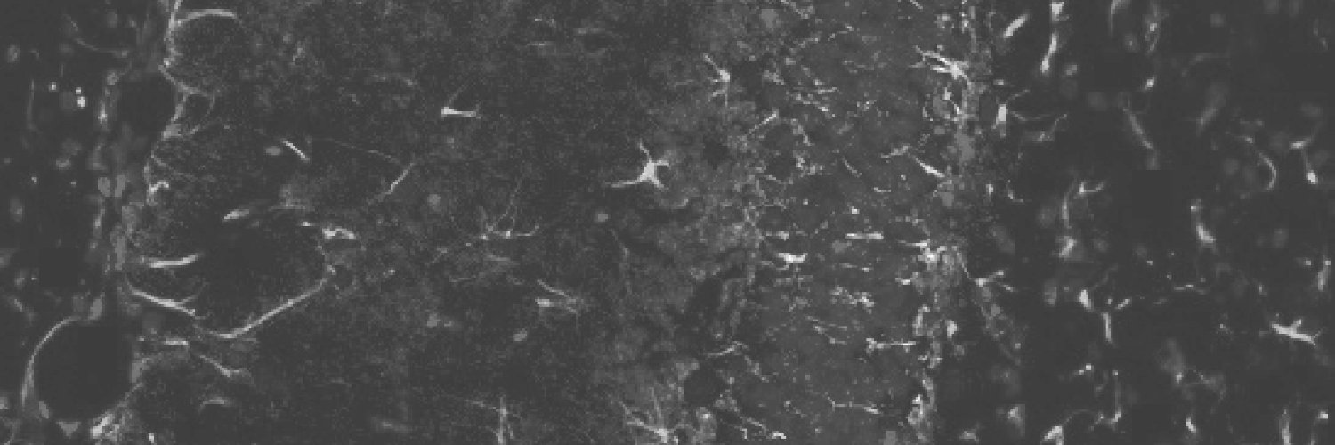 Gregory Handy banner