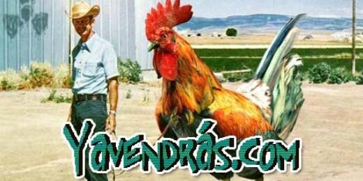 Yavendras's profile banner image