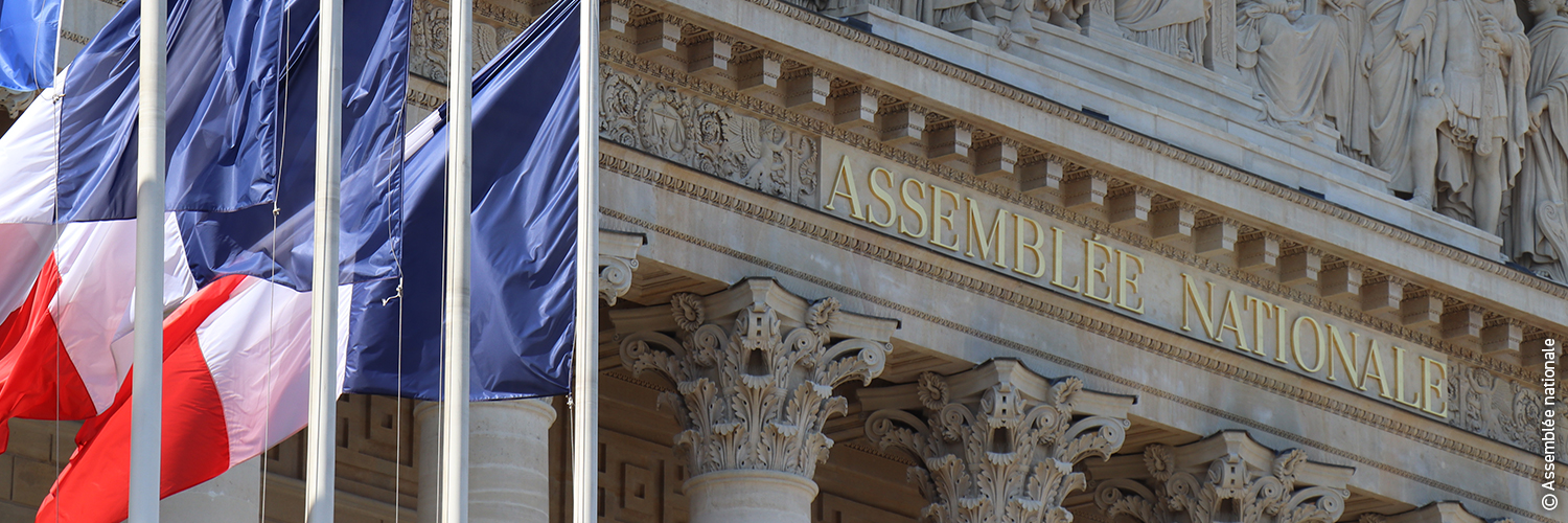 Thierry Sother banner