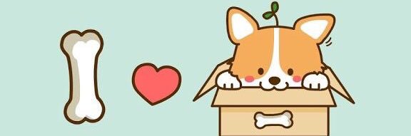 shly! 👧🏻 banner