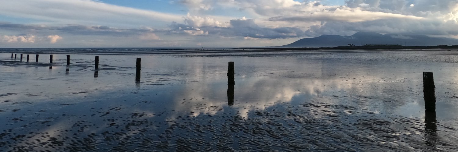 Ronan mcBride banner