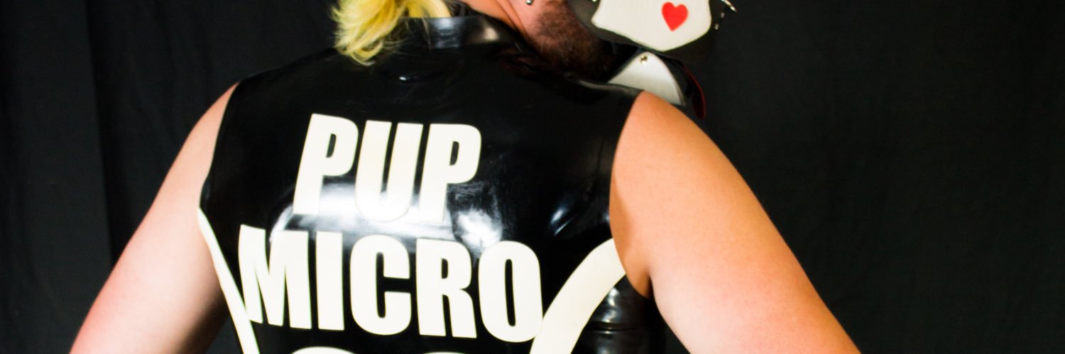 PupMicro's profile banner image