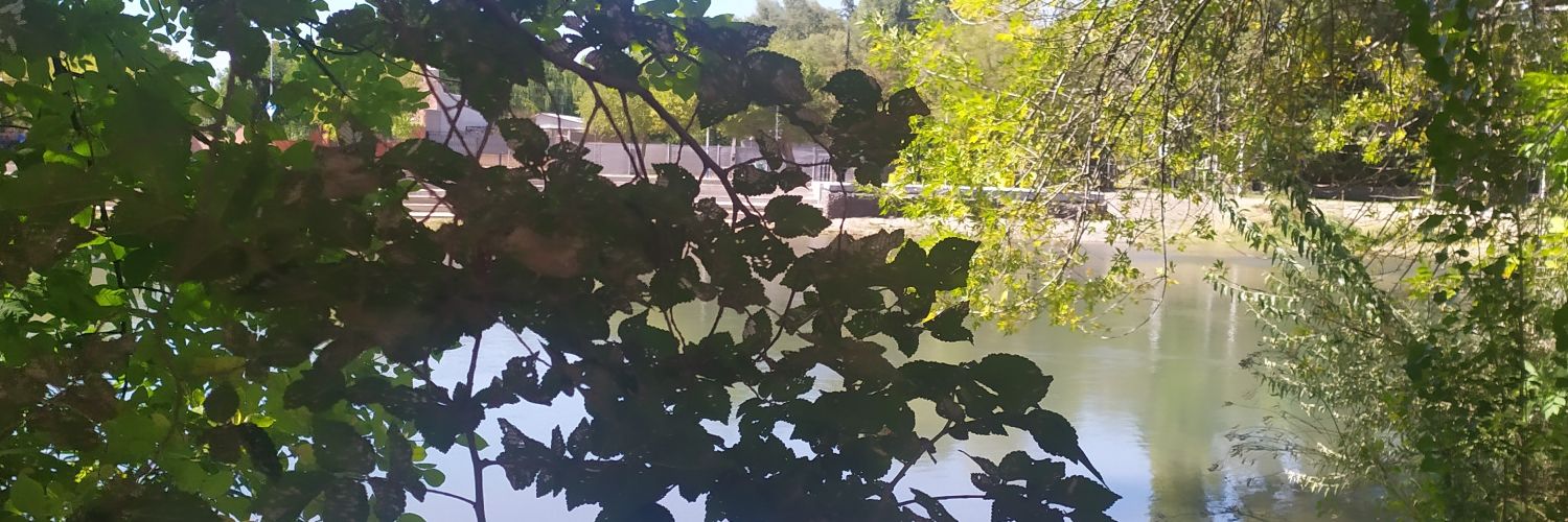 PatoVigu's profile banner image