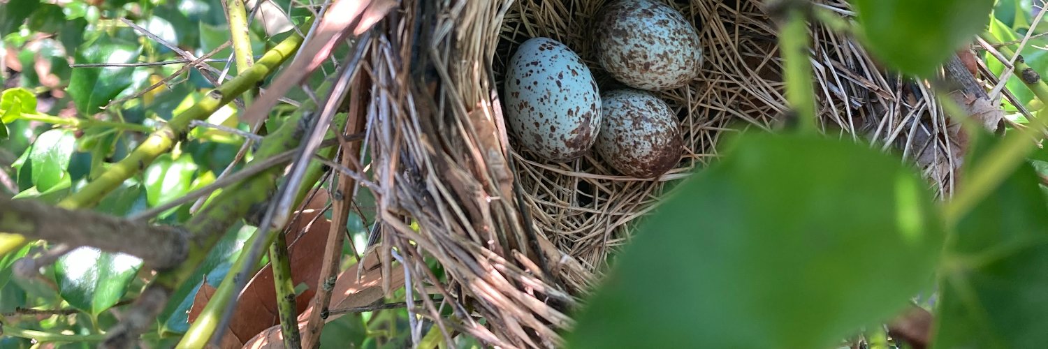 Kendra Roberts banner