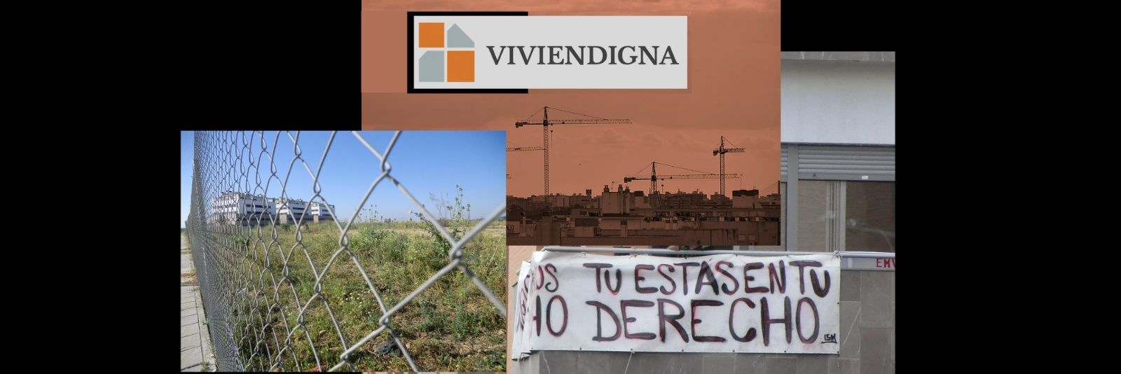 Estrella Candelaria Cruz Mazo banner