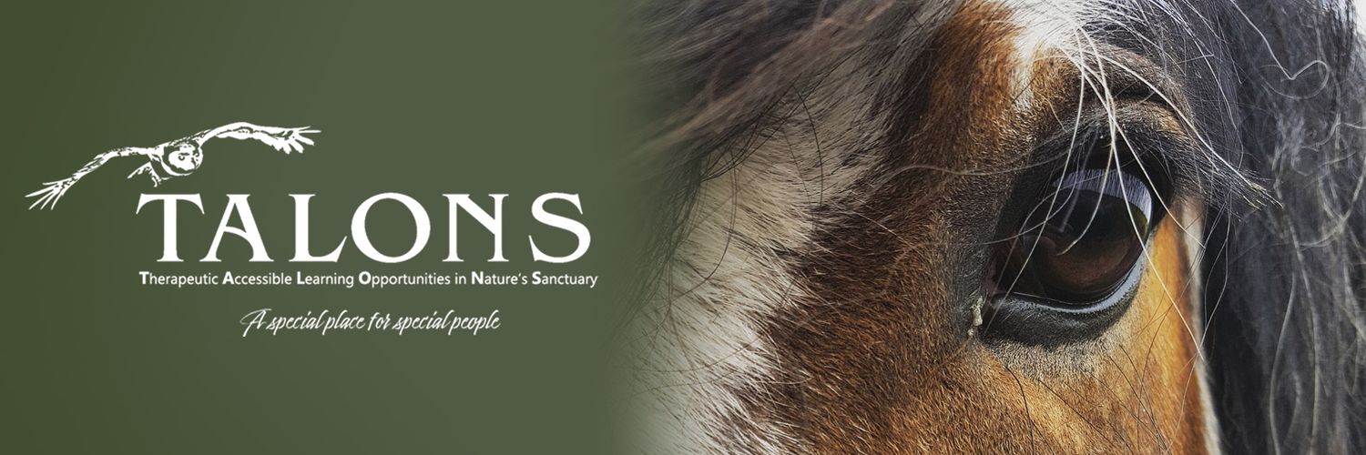 talonsowls's profile banner image