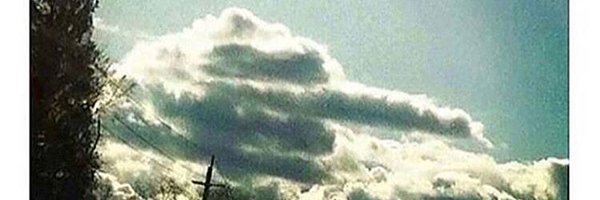 TorchV18 Profile Banner