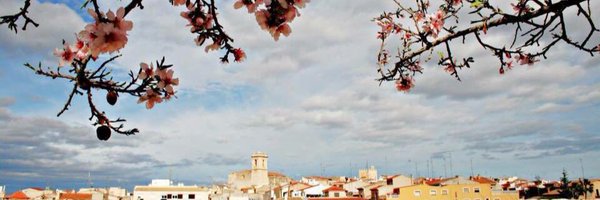 rsanzmonroig Profile Banner