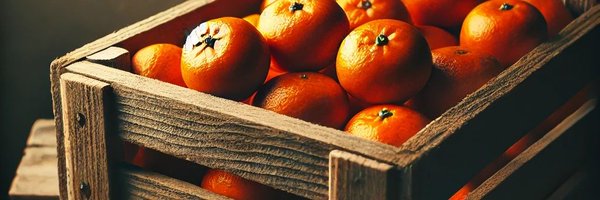 mandarintrader Profile Banner