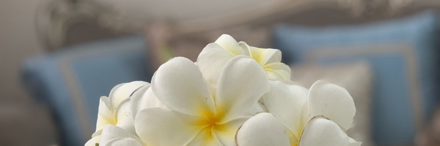 Mohammed55403's profile banner image