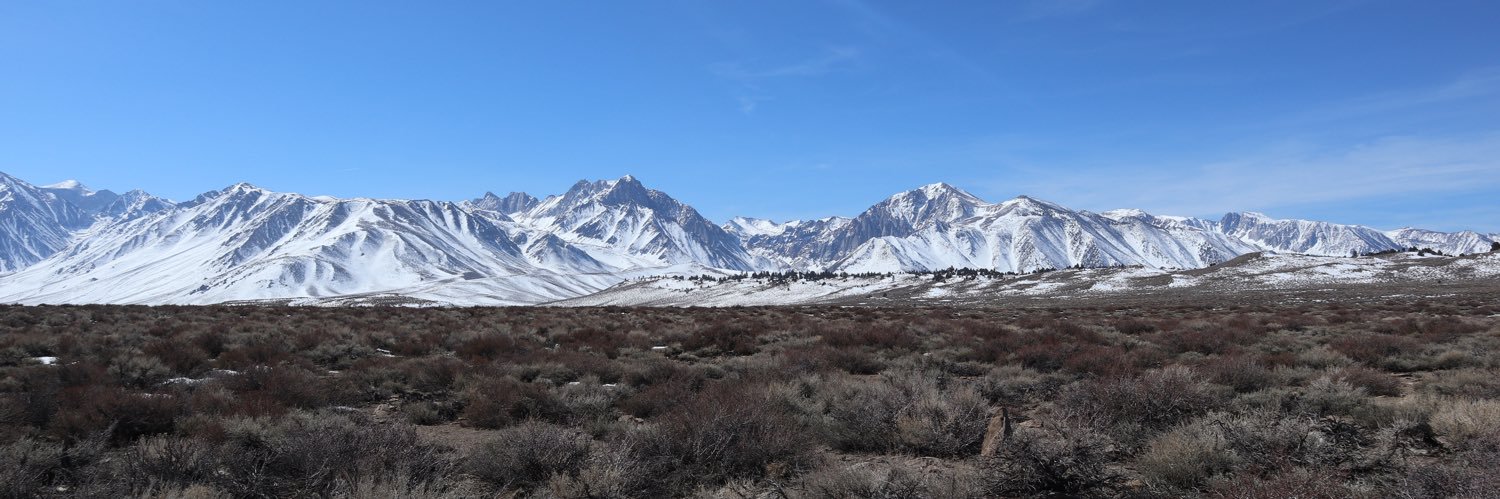 Jacob Stricklin banner