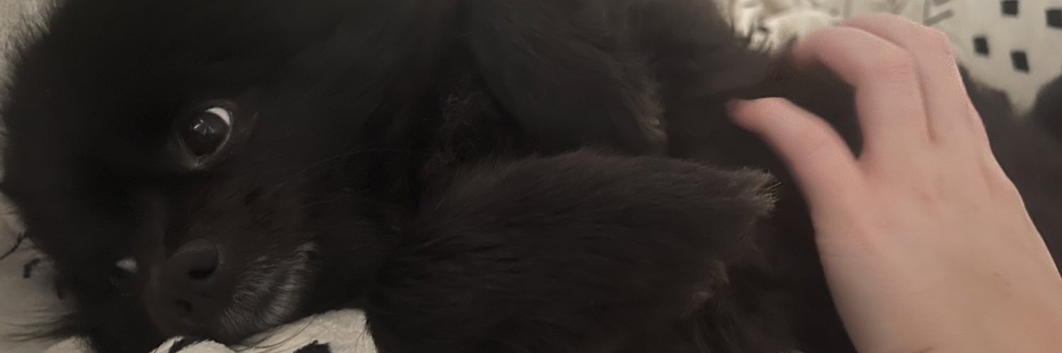 danielleburn96's profile banner image